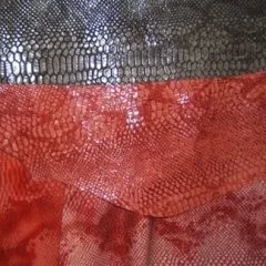 pelle_colorata